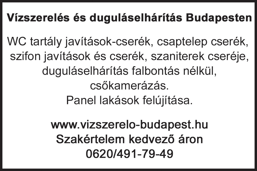 Vízszerelés és duguláselhárítás Budapesten; álló
