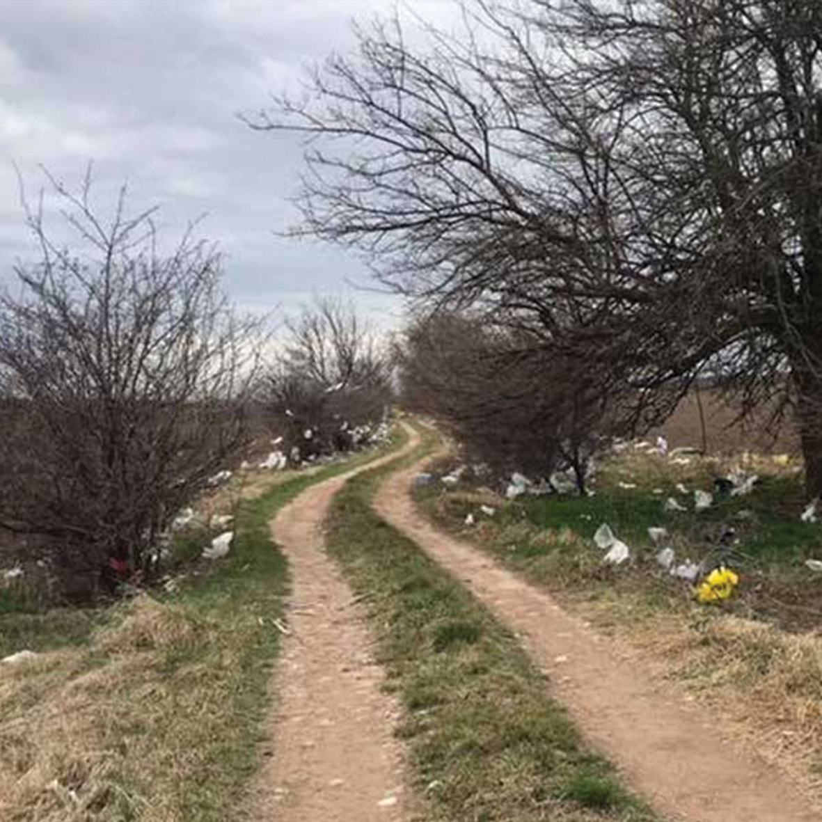 Fulladásos halált okoznak a műanyag zacskók