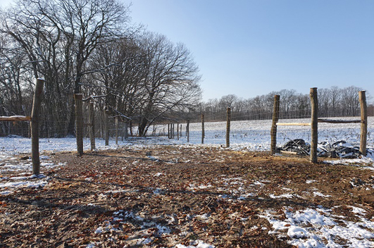 Állattartás, Villanypásztor szaküzlet